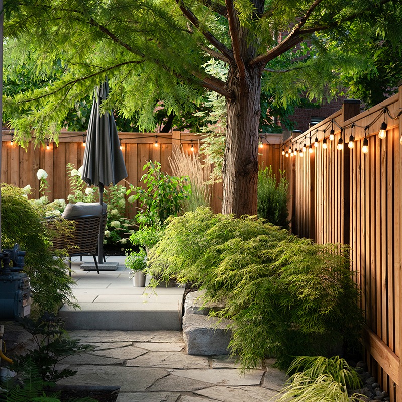A tranquil backyard with lush greenery, wooden fencing, string lights, and a cozy seating area underneath a large tree, creates a peaceful retreat.