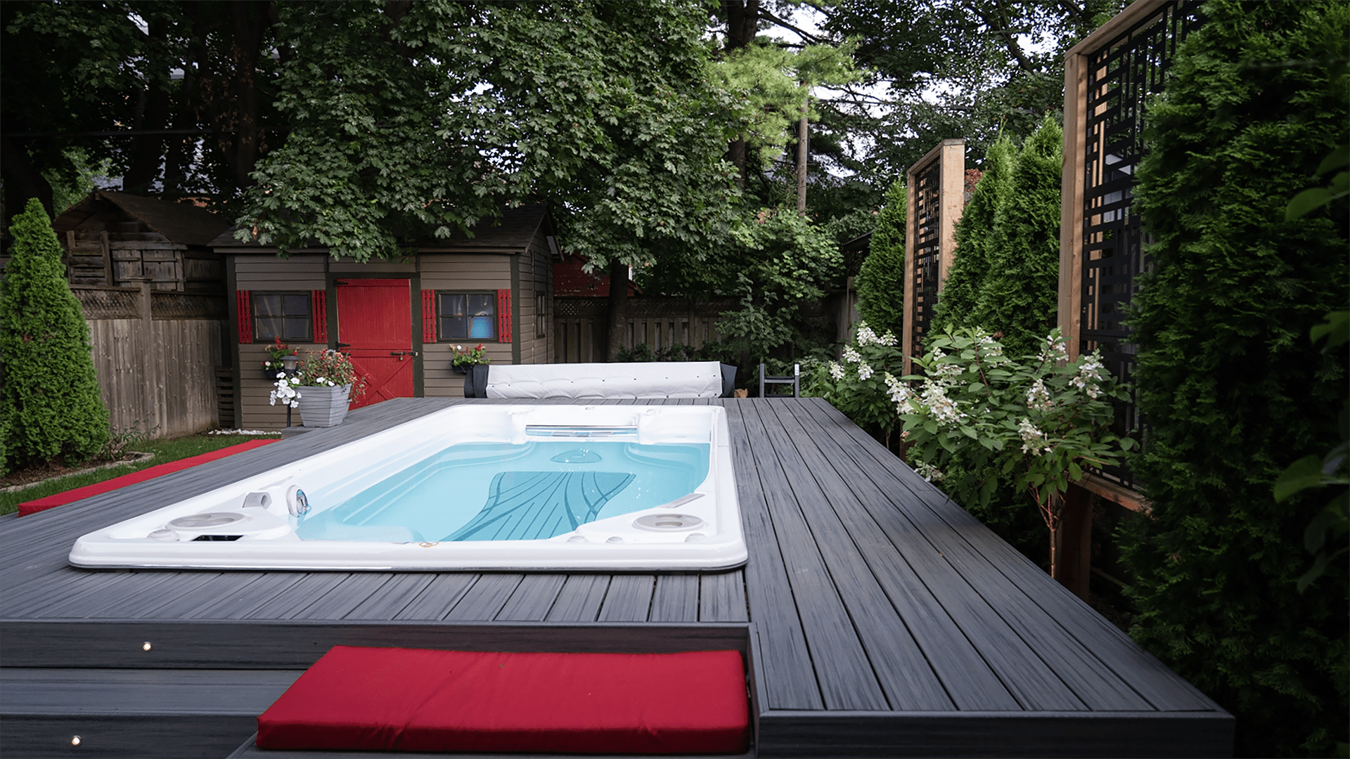 A sleek backyard with a modern swim spa, surrounded by lush greenery and a cozy wooden shed. Red cushions add vibrant contrast.