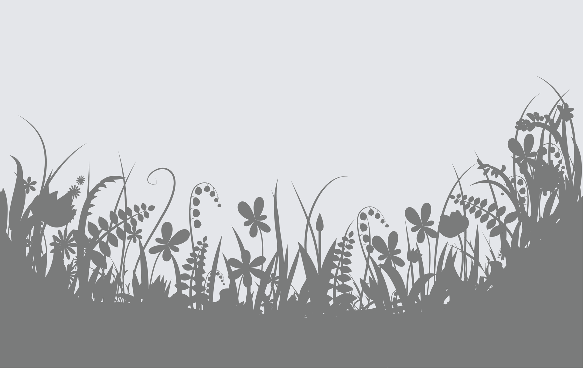 Silhouette of wildflowers and grass against a light background, showcasing various plant shapes. Simple and natural design emphasizes botanical diversity.
