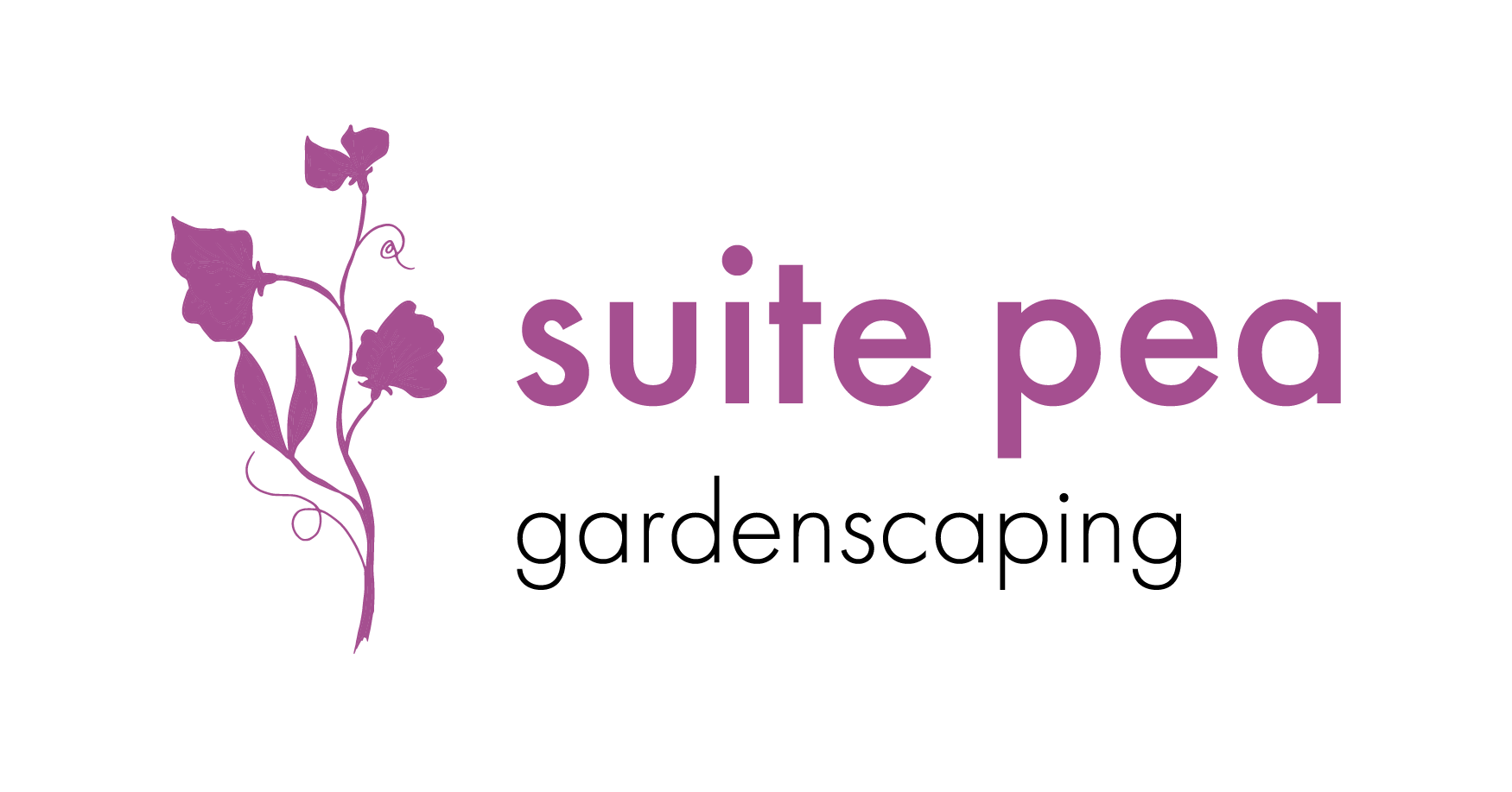 The image features "Suite Pea Gardenscaping" logo in purple and black text, with stylized sweet pea flowers on a transparent background.