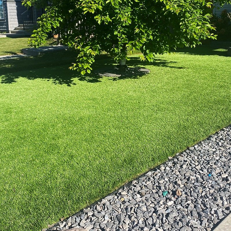 A vibrant green lawn bordered by grey gravel and a lush tree casting shadows, with house steps visible in the background.