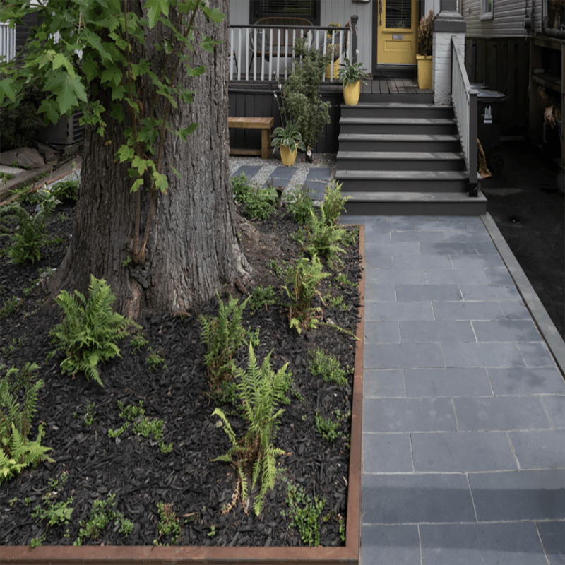 A large tree with ferns borders a paved path. Steps lead to a house entrance with potted plants and a yellow door.
