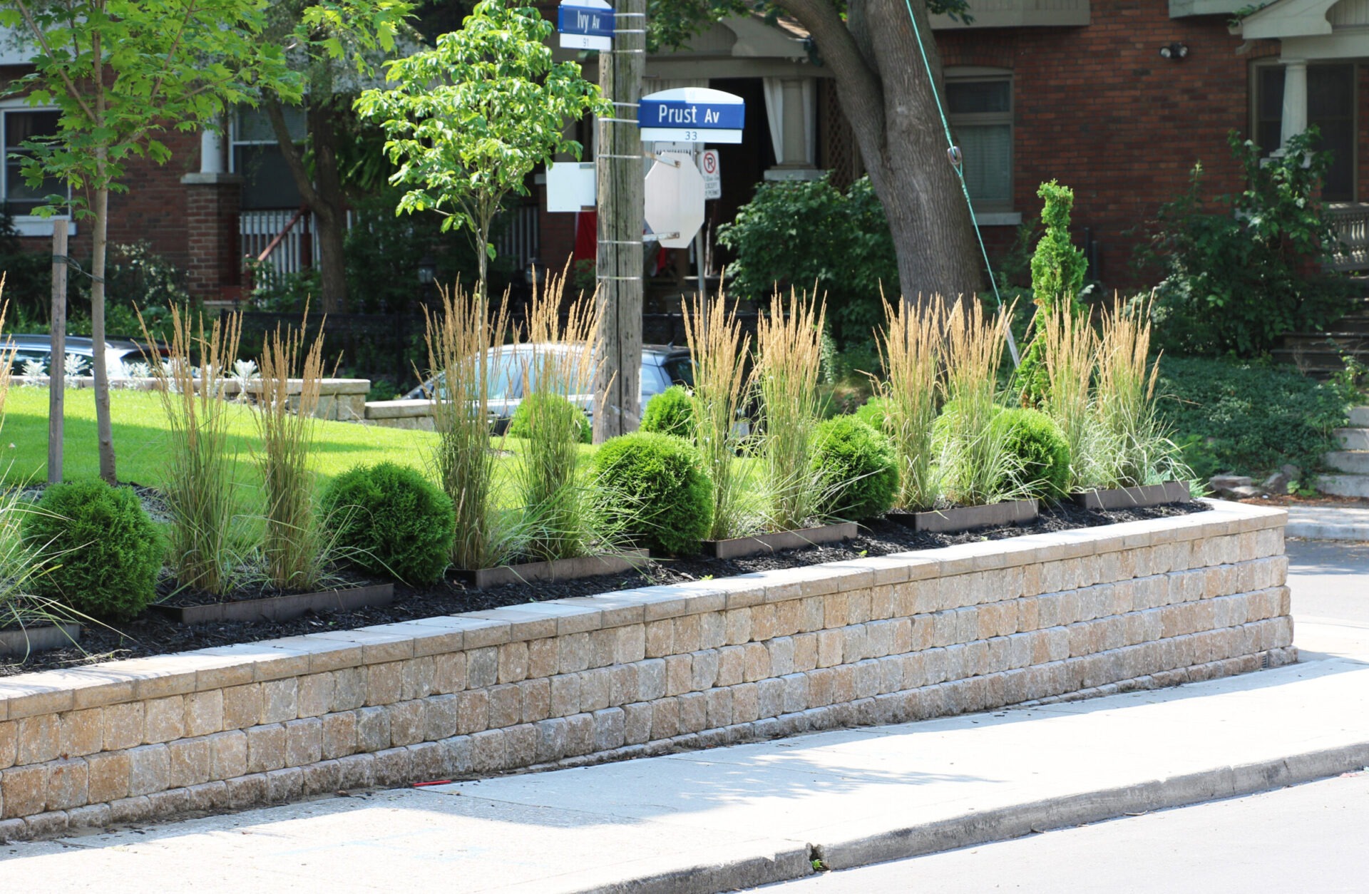 Native plants and retaining walls